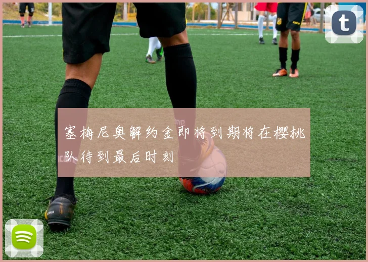 塞梅尼奥解约金即将到期将在樱桃队待到最后时刻